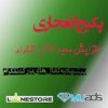 پکیج انفجاری افزایش ممبر کانال تلگرام