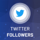 پنل افزایش ممبر توییتر