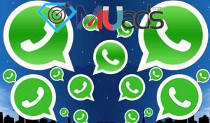 سرویس ممبر واقعی گروه واتساپ