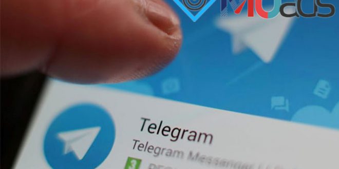 افزایش تضمینی ممبر تلگرام